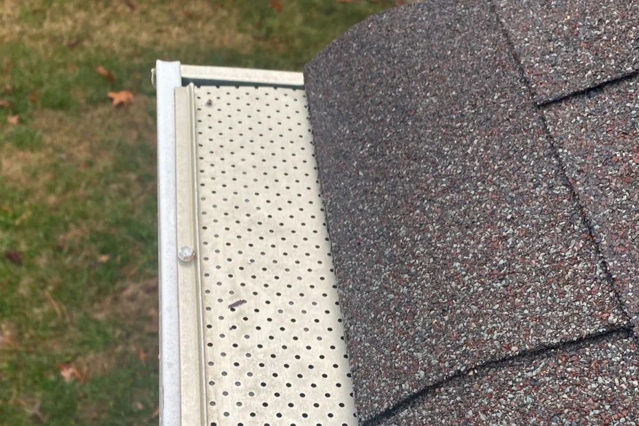 Rockville Gutter Cleaning