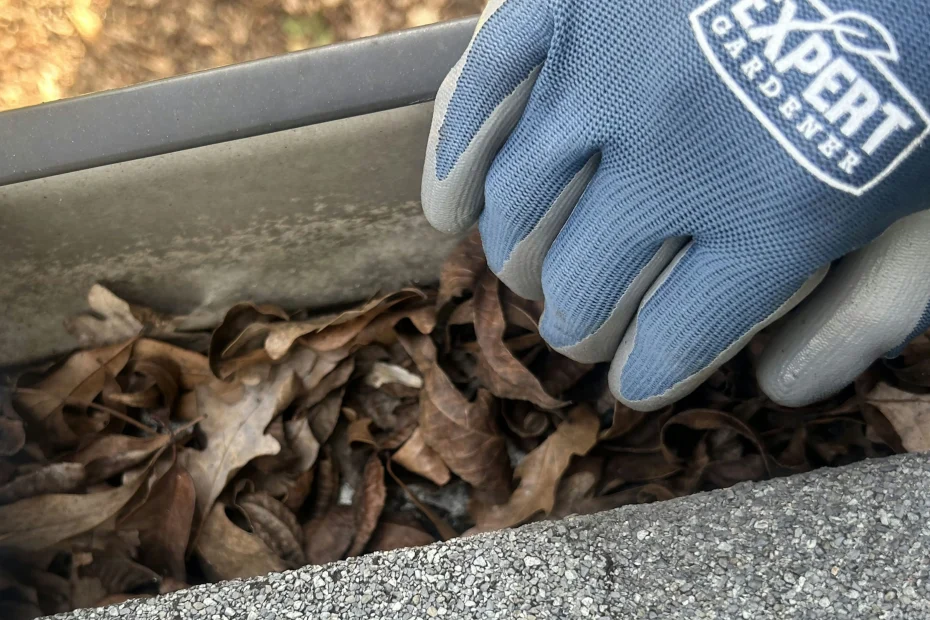 Gutter Cleaning Rockville