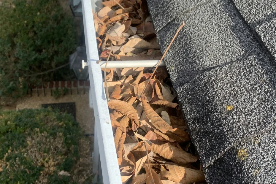 Gutter Cleaning Rockville