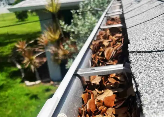 Gutter Cleaning Rockville home page